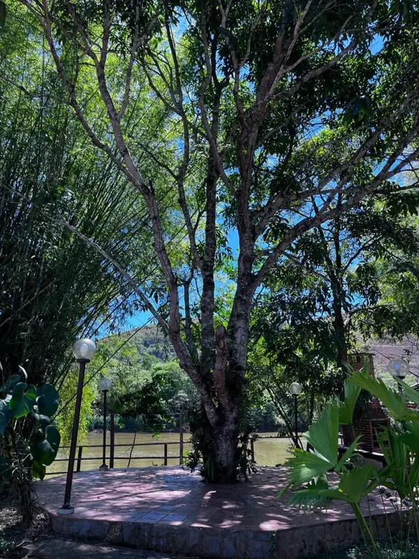 Área verde da unidade Levy Gasparian do Grupo Triunfo, clínica de saúde mental e dependência química