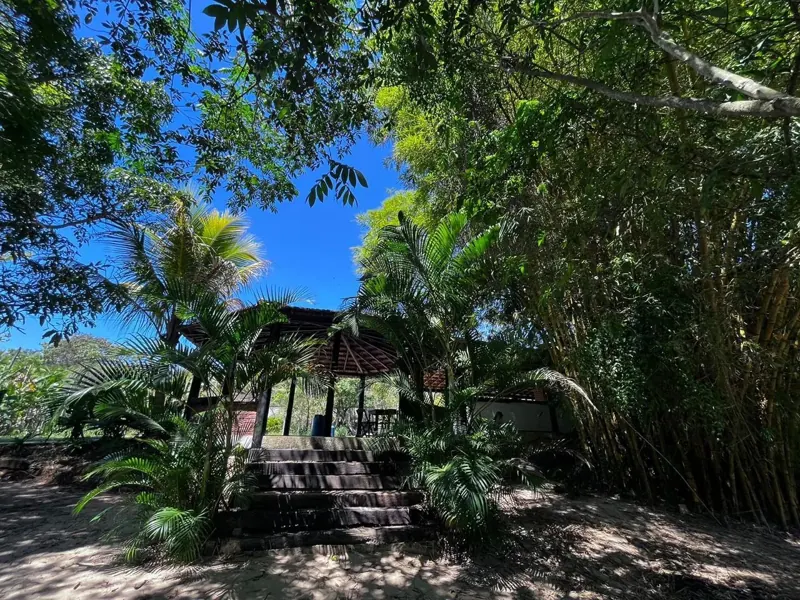 Jardim da unidade Levy Gasparian do Grupo Triunfo, clínica de saúde mental e dependência química