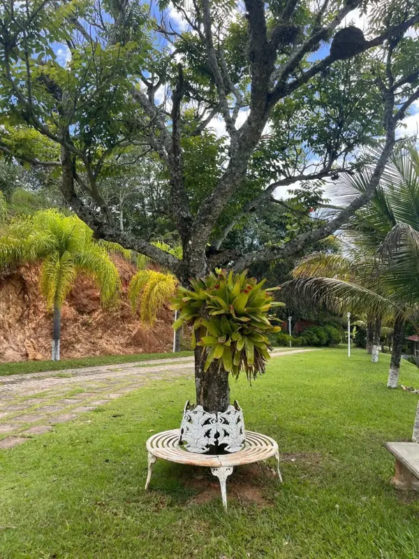 Jardim da unidade Piraí do Grupo Triunfo, clínica de saúde mental e dependência química